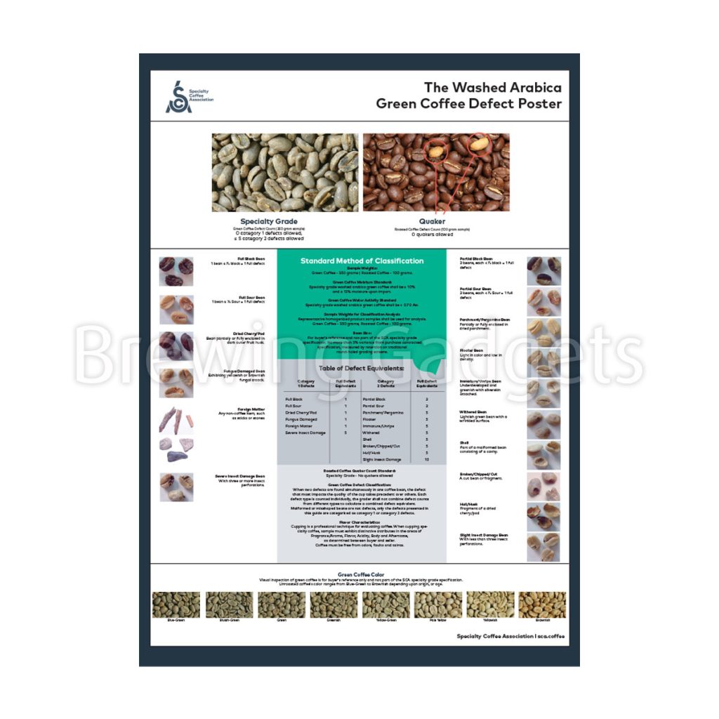 green-arabica-coffee-classification-system-poster